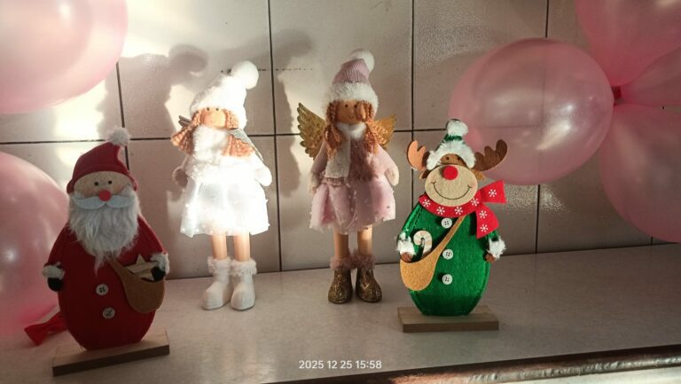 WhatsApp Image 2025-12-25 at 16.27