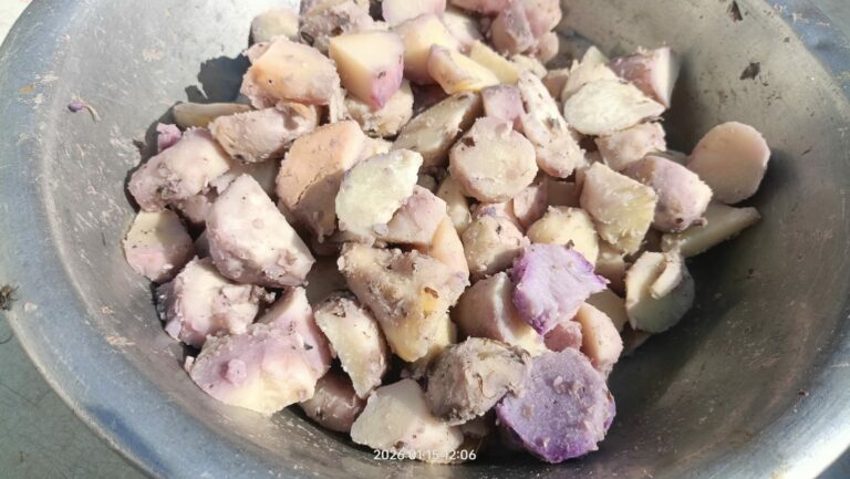 WhatsApp Image 2026-01-15 at 19.45