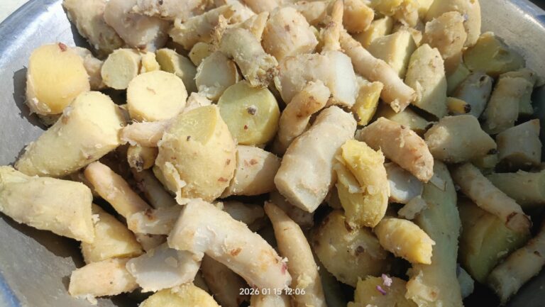 WhatsApp Image 2026-01-15 at 19.45