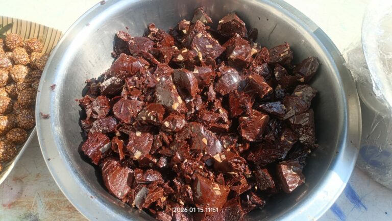 WhatsApp Image 2026-01-15 at 19.45