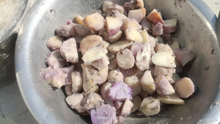 WhatsApp Image 2026-01-15 at 19.45